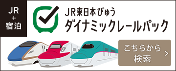 JR東日本びゅうダイナミックレールパック